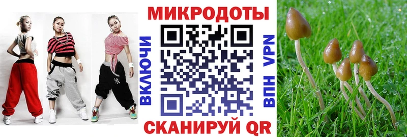 Галлюциногенные грибы Cubensis Мценск
