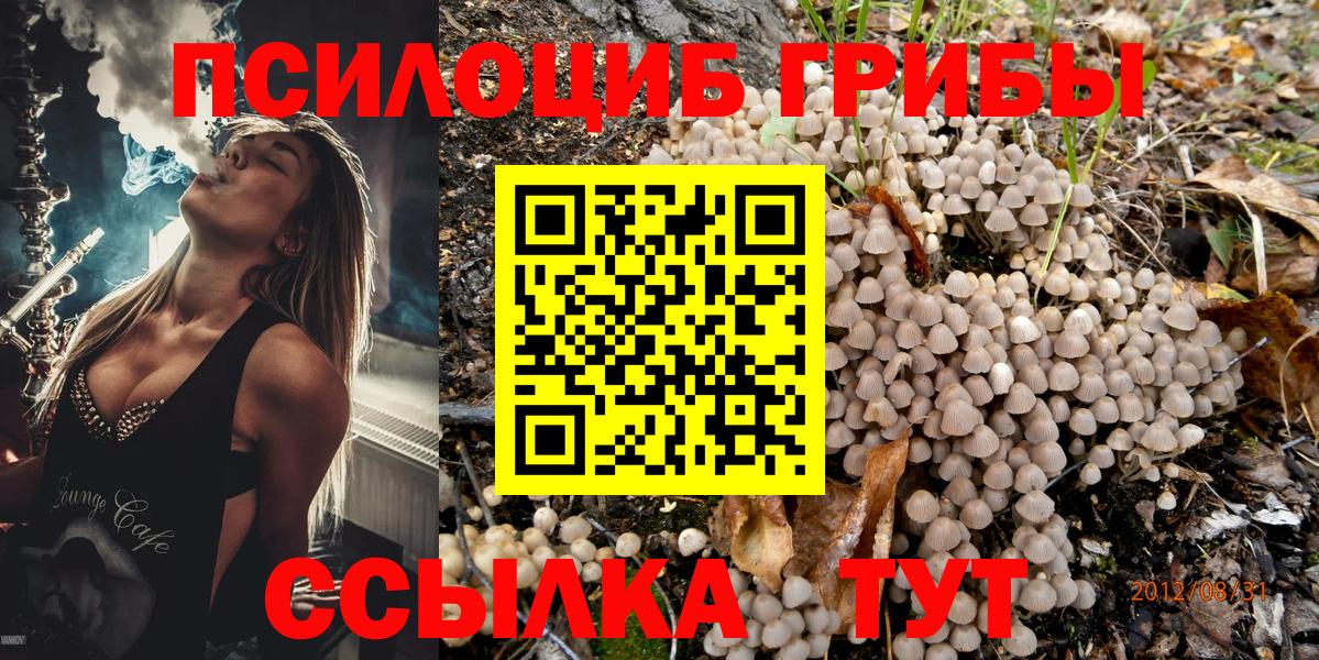 Галлюциногенные грибы Psilocybe  Вход с VPN  Мценск 