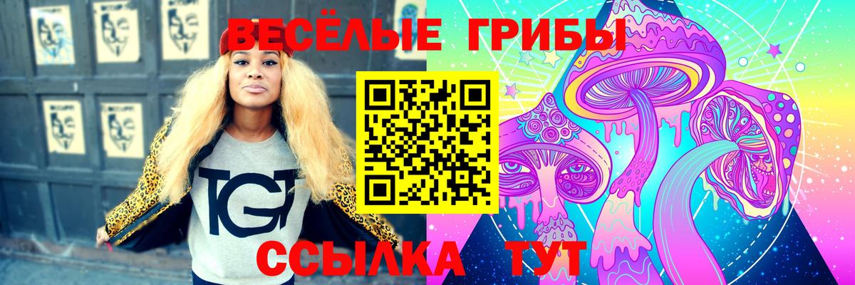 Псилоцибиновые грибы Psilocybine cubensis Мценск